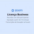 zoom-business-002-jpg
